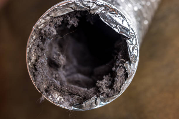 Best HVAC Duct Inspection Services  in Weedpatch, CA