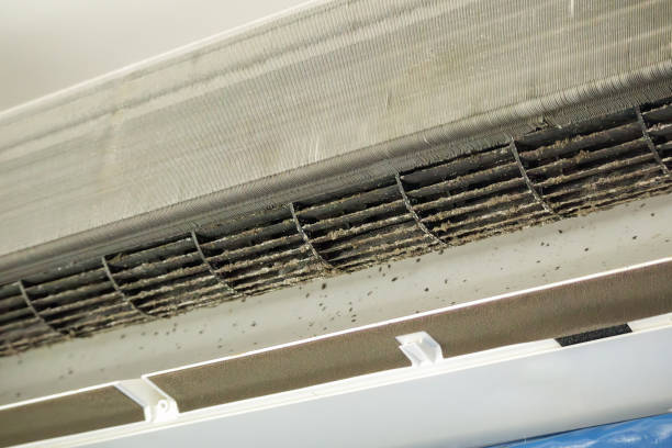 Best Affordable Air Duct Cleaning  in Weedpatch, CA